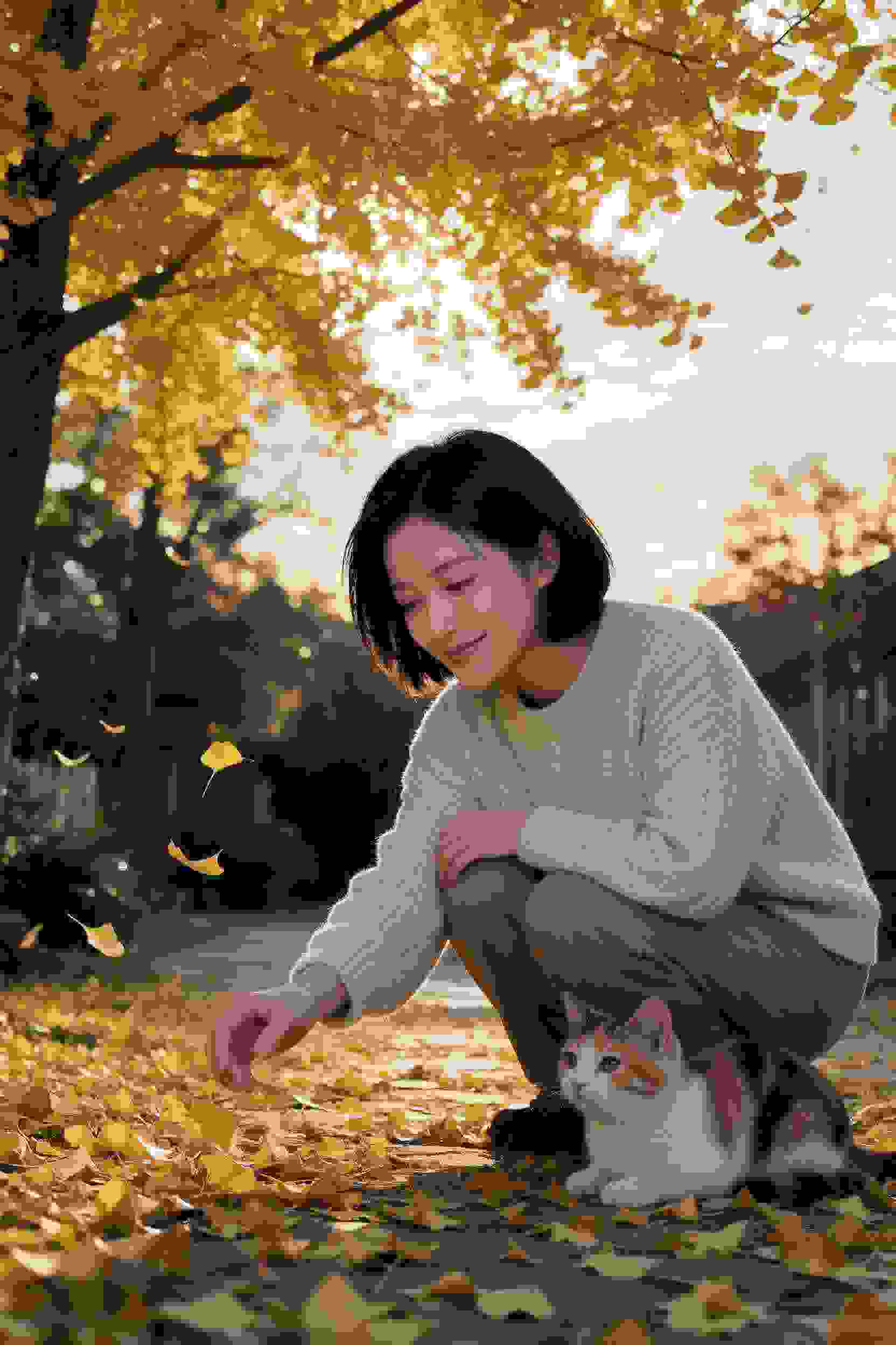 总裁的隐婚宝宝